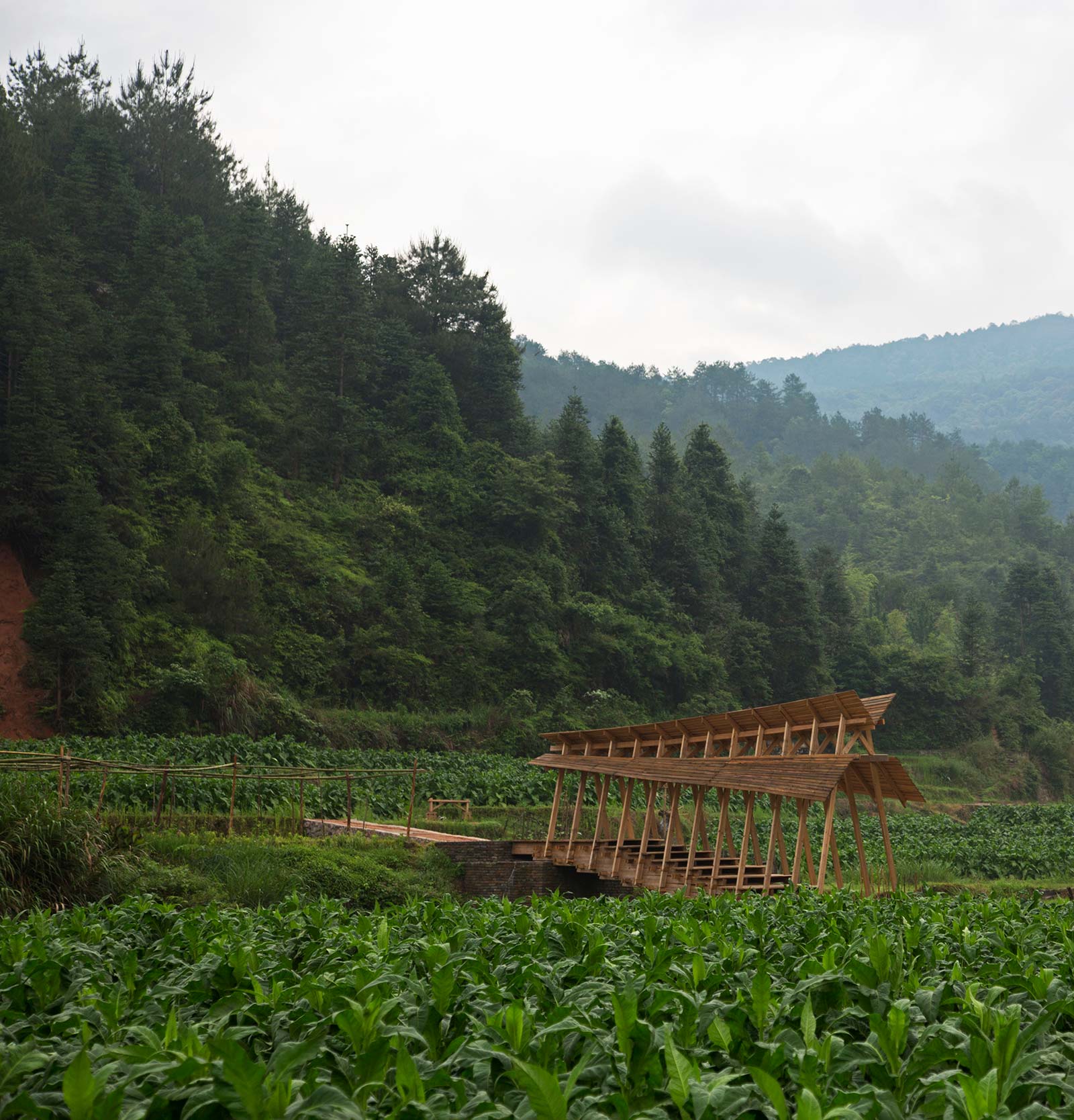 Fujian-Bridge-02